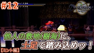 #12【ミント編】デュープリズムで世界征服を目指す【RPG／ゲーム実況】NC