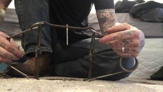 Setting 160 conibear trap