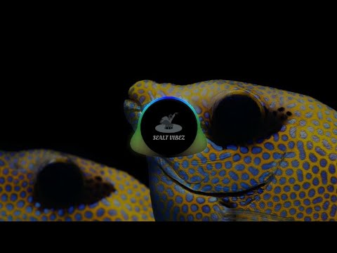 Nadia Rania ft Daddy Addre - Gwe Aliko (Fumxz AfroChill Remix)