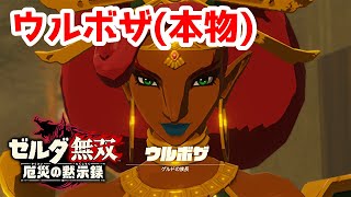 【実況】定年を迎えた父を再びハイラルの大地に放り込むPart7【ゼルダ無双 厄災の黙示録】