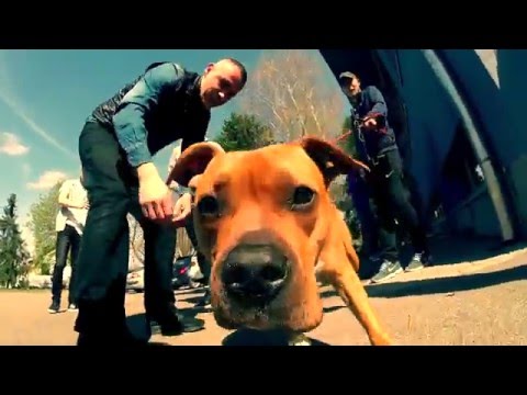 Phaze - JOKADA (feat. Amar) prod. by Konbeatz / Official Video