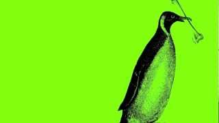 Gazebo Penguins - Wes Anderson (cover)
