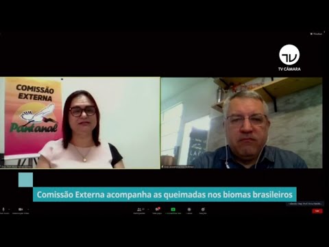 Comissão debate impacto das queimadas na saúde dos animais e das pessoas - 14/10/20