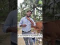 குறைந்த விலையில் பால் கறவை இயந்திரம்