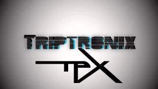 TripTronix - The Facilitator (Original Mix)