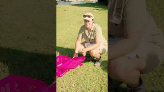 Re-uniting chicks with their family | Rescue Diaries