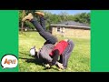 FAILING Runs In The FAMILY Funny Fails AFV 2020