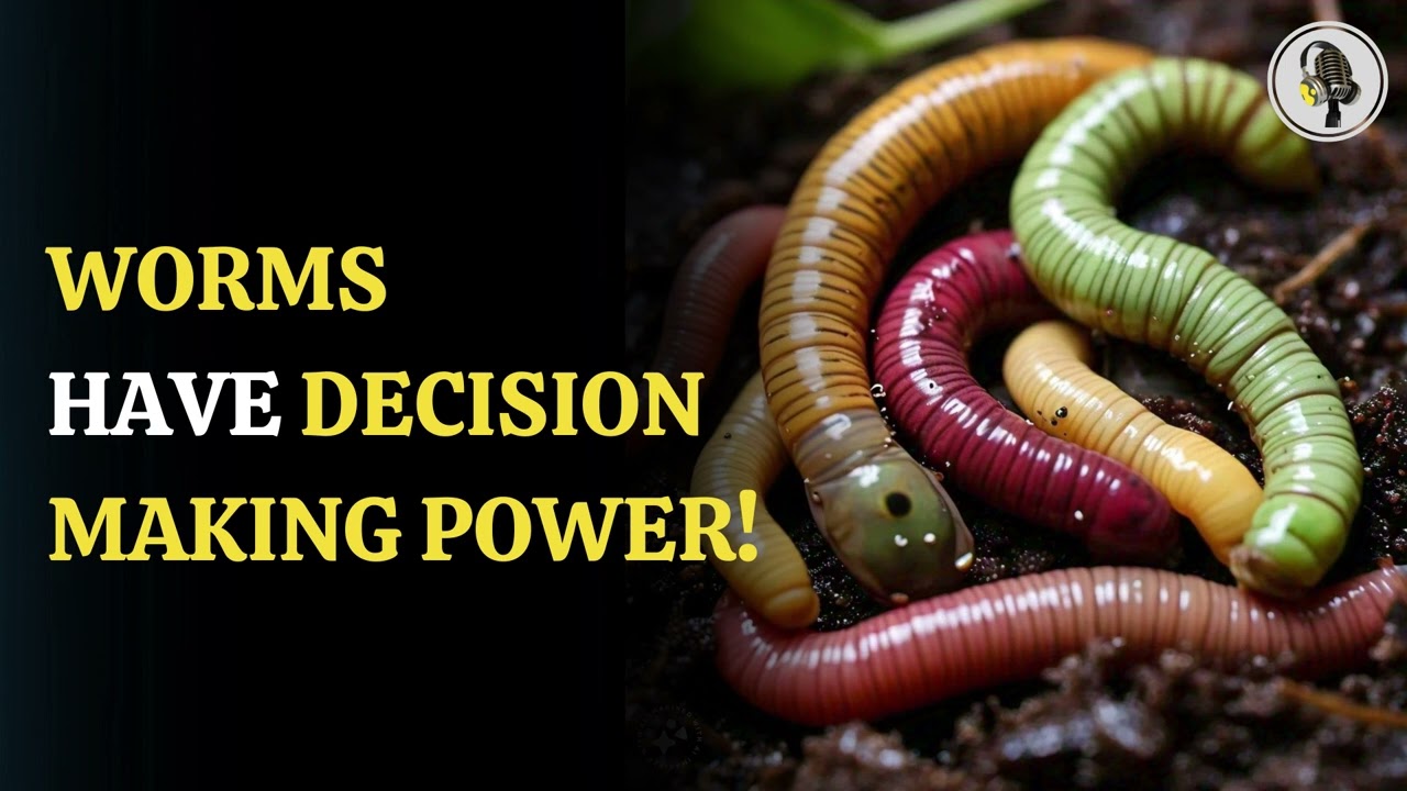 Worms Have Decision Making Power! | WION Podcast - YouTube