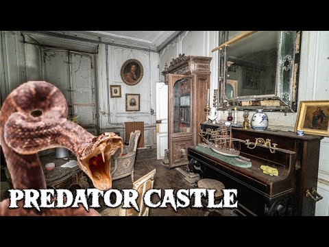 , title : 'Mystifying Abandoned Predator CASTLE in France | 15TH-CENTURY TIME TREASURE'