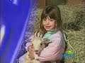 Barney Friends At Home With Animals Ending Credits PBS Kids Sprout Version 2009
