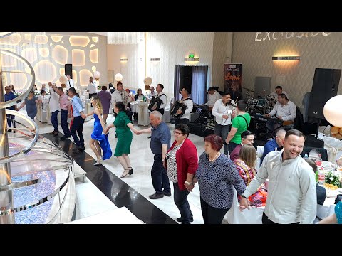 Orkestar Darka Antica LAVOVI - Vencanje Sabrina i Stefan, uvodna kola