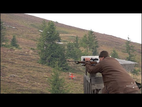 Hunting the mountain stag in late autumn | special hunting moments with our huntingdogs | ep # 32