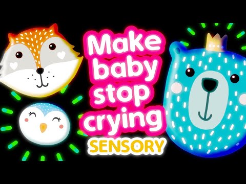 🎶 Make a baby stop crying 🎵 Happy animal faces 🐶 Sensory Video