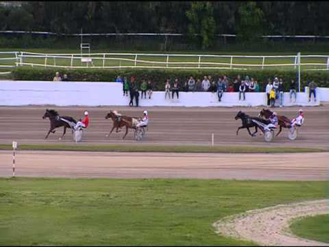 Trotto 01/05/2016 -  1 ° Corsa Minitrotter