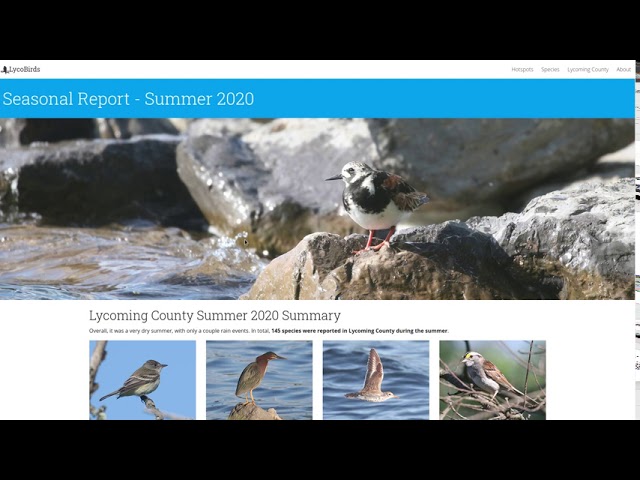 Video Pronunciation of scaup in English Video Pronunciation of scaup in English