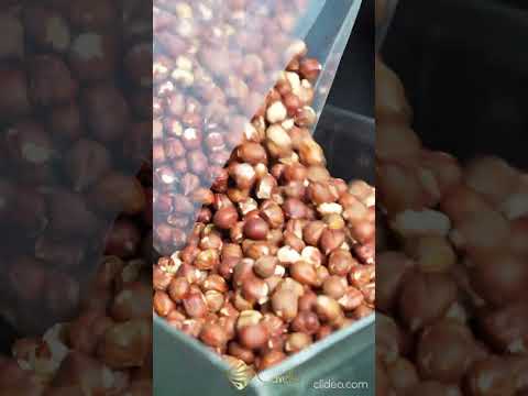 State Of The Art Production Plant