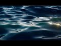 "Outremer" - Piano Solo | David Grumel  (Audio official)