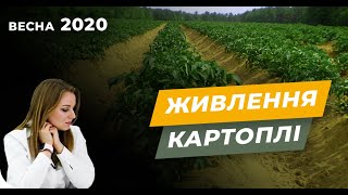 Ссылка
