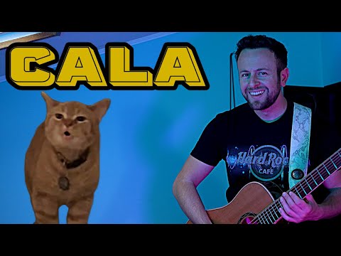 Spaul x Cala - The Reggae queen ( singing cat THE KIFFNESS I GO MEOW style )