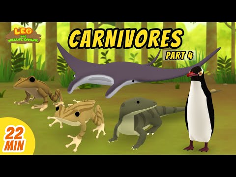 Carnivores Minisode Compilation (Part 4/6) - Leo the Wildlife Ranger | Animation | For Kids | Family