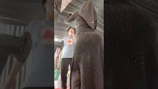 Download lagu Beautiful singer hijaber latest style hijab is getting more and more in front mp3