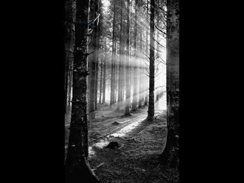 Lead Me Lord (slowed & reverb)