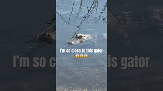 I’m not afraid face to face with an aligator