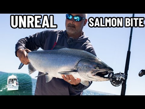 INCREDIBLE Lake Ontario Salmon Fishing - Salmon Trolling Tips & Tricks