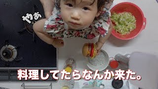 無限キャベツ作ったら１歳児も止まらない美味しさ。