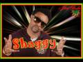 Shaggy Hope