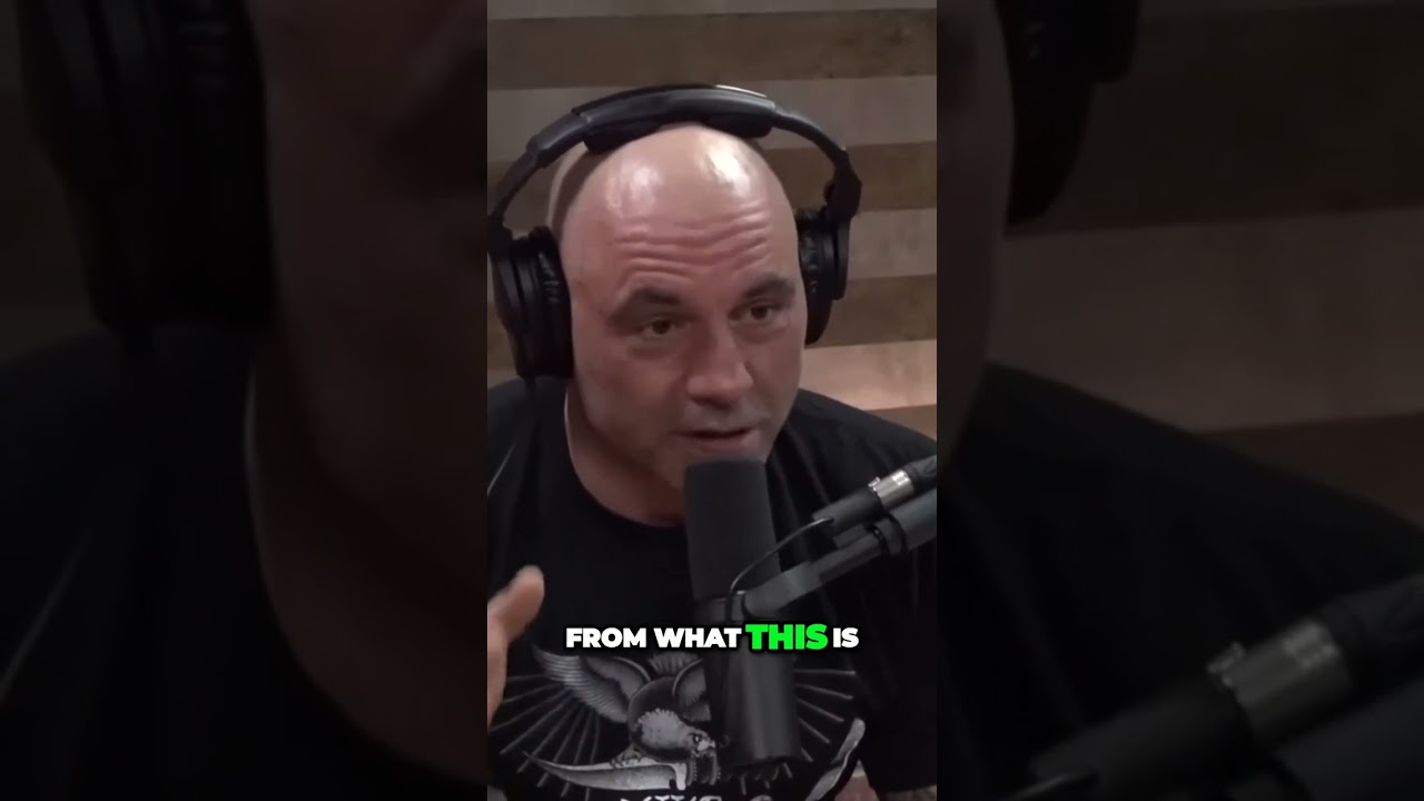 The Evolution of Humans and AI: A Future Symbiotic Relationship