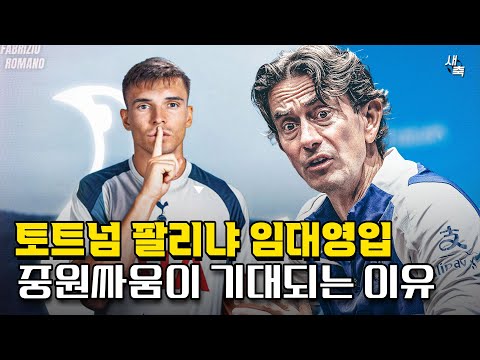 팔리냐 임대영입 기대되는 토트넘의 중원싸움! 프랭크의 축구에 어울리는 영입일까?