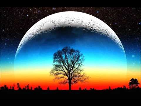 Adriana Maciel - Vida em Marte [Life on Mars]