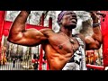 The Perfect Calisthenics Workout for Muscle Gain | 15 Minute Workout