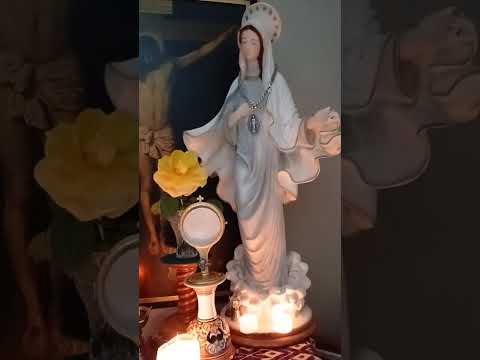 Adoración al Santísimo Sacramento del Altar con el Padre Fabian Esteban Oliva. 11/11/25