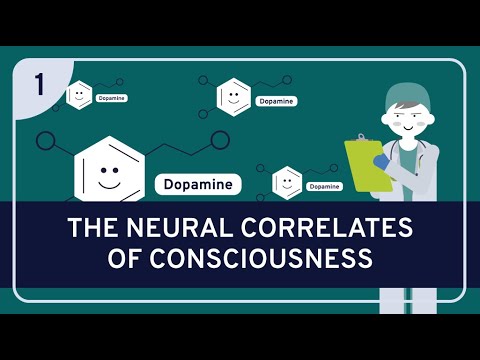 PHILOSOPHY - NEUROSCIENCE AND PHILOSOPHY 1: The Neural Correlates of Consciousness