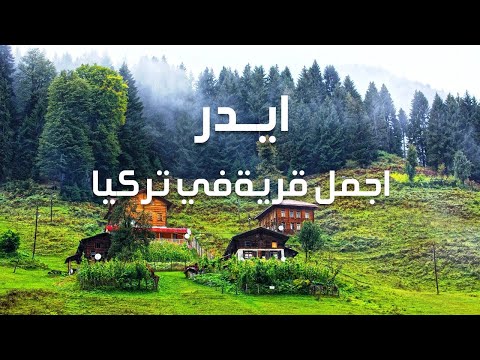 الفيديو