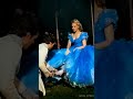 Cinderella Love Story WhatsApp Status ️ CRYSTAL XIII BEATS