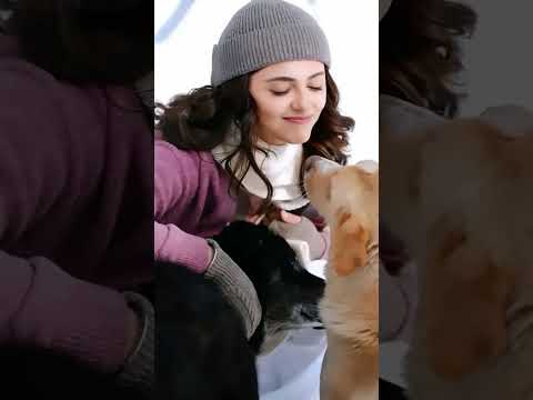 Aneet with her loyal dog 🐕😘😍#aneetpadda #ahaanpanday #love #saiyaarasong #couplestatus #shorts