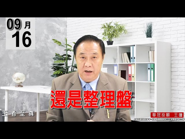 20210916《【還是整理盤】主流就是電子正規軍與五大泛用樹脂。》#王曈 #王者至尊