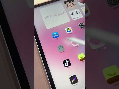 Guía práctica para usar Texto en Vivo en tu iPad: saca todo el potencial