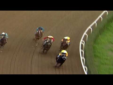 TOP STALLIONS SUN - Kadir Altınöz | 1998 Piri Reis Koşusu