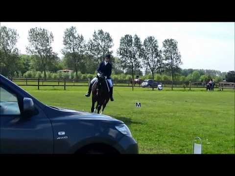 Nancy op Boccaccio B dressuur outdoor beukers