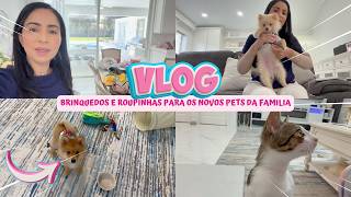 VLOG: COMPREI BRINQUEDOS E ROUPINHAS PARA OS NOVOS PETS DA NOSSA FAMILIA