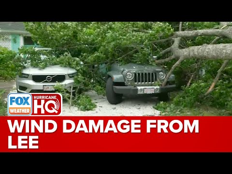 Cape Cod Seeing Localized Pockets Of Wind Damage From Lee