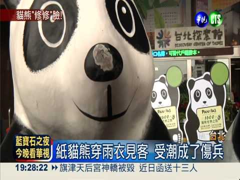 紙貓熊受潮落漆 "玻尿酸"微整型