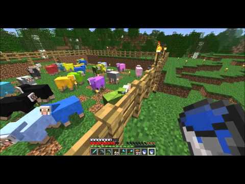 011 - Pelataan Minecraftia - Enemmän villaa ja kanafarmi