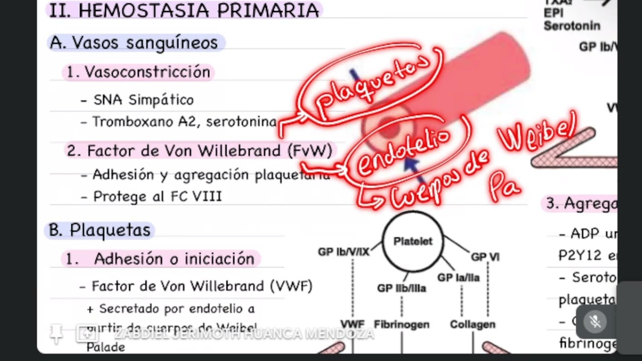 HEMOSTASIA Y PRUEBAS DE COAGULACIÓN