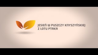 preview picture of video 'Jesień w Puszczy Knyszyńskiej z lotu ptaka'