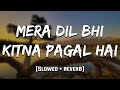 Mera Dil Bhi Kitna Pagal Hai Saajan Slowed Reverb Mood 90 S
